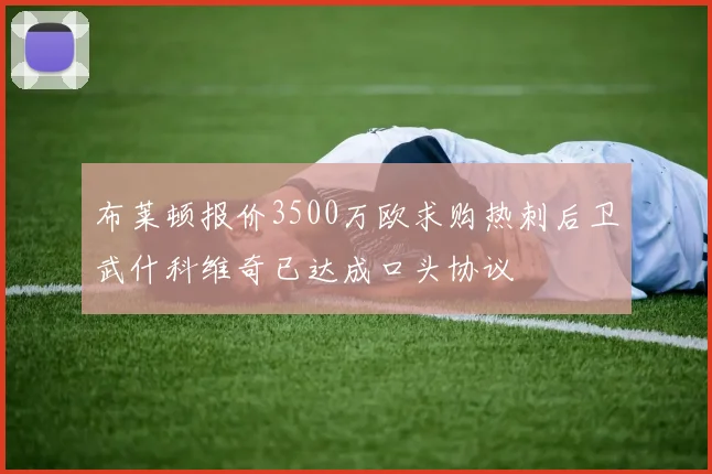 布莱顿报价3500万欧求购热刺后卫武什科维奇已达成口头协议
